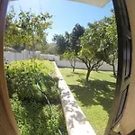 Panormos Skopelos Hotell